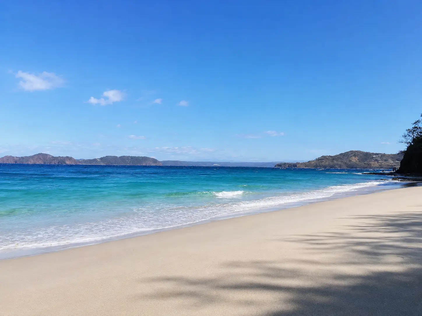 Empty golden-sand beach at Playa Penca with calm turquoise water, palm shadows on the sand, and forested headlands across the bay