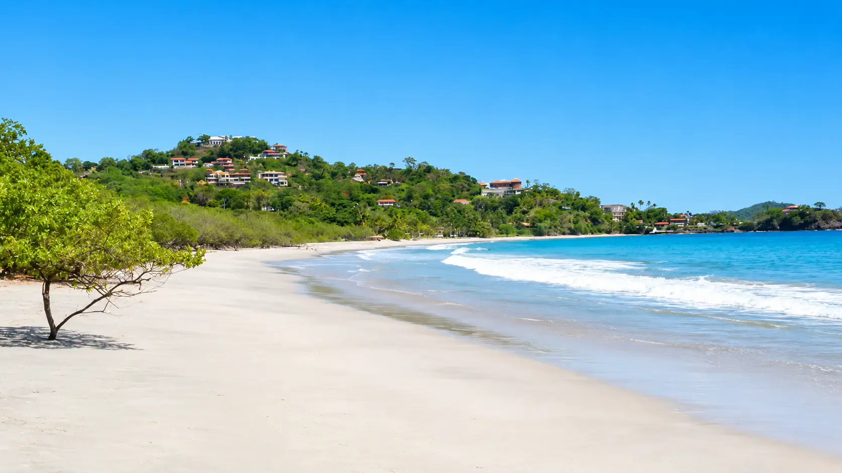 Wide white-sand beach at Playa Flamingo with turquoise surf, a lone tree on the sand, and green hillside homes above the far end of the bay