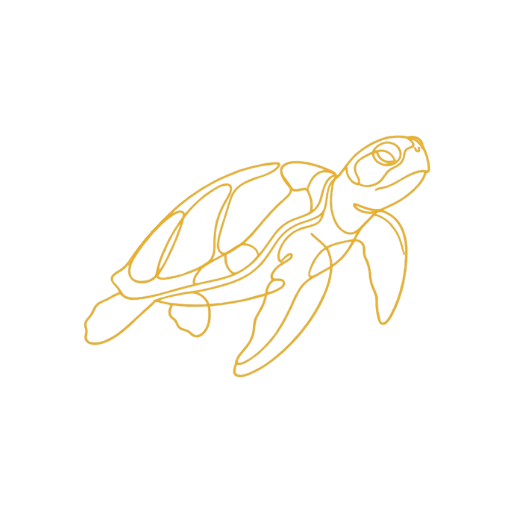 Tito the olive ridley sea turtle — Vida de Playa's AI local guide